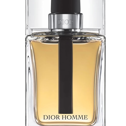 C.dior Homme Erkek Edt100Ml
