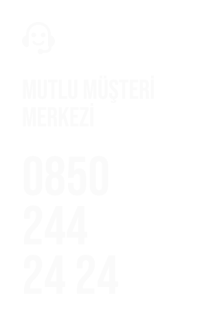 Footer Logo